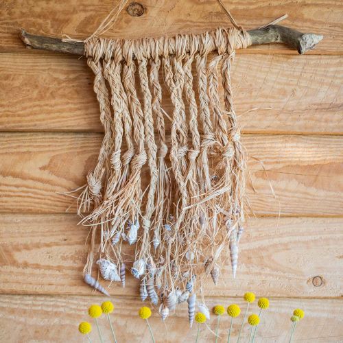 Floristik24 Mélange de moules nature 3cm – 5cm 200g