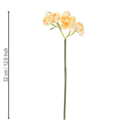 Article Branche de renoncule pour compositions florales décoratives en vase, 32 cm, lot de 5