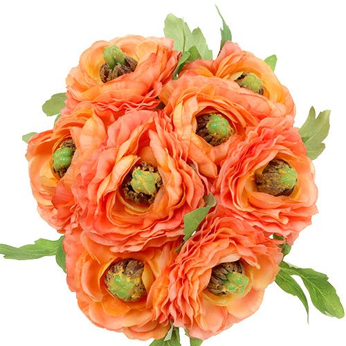 Floristik24 Renoncule orange 27cm 8pcs