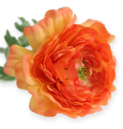 Floristik24.fr Renoncule orange 36 cm - acheter pas cher en ligne