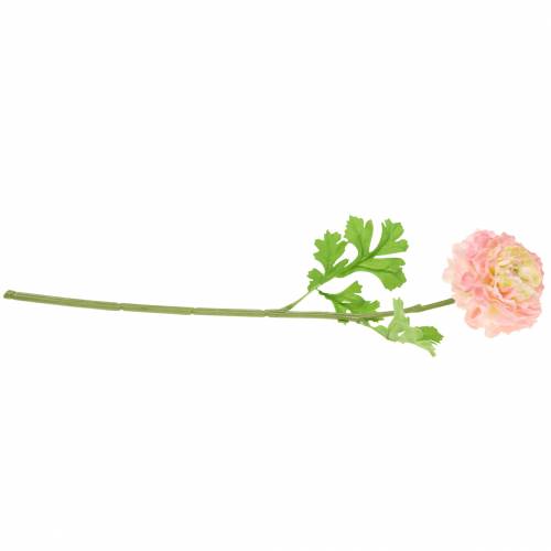 Article Renoncule rose H45cm