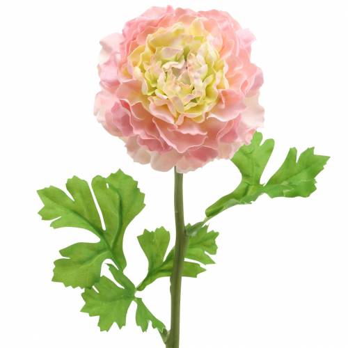 Floristik24 Renoncule rose H45cm