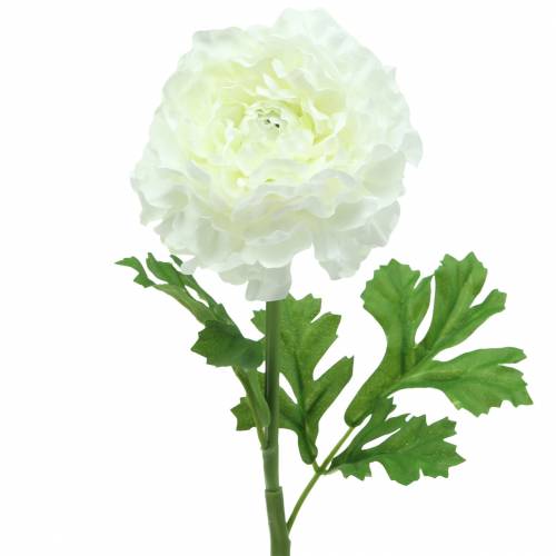Renoncule Blanc H45cm