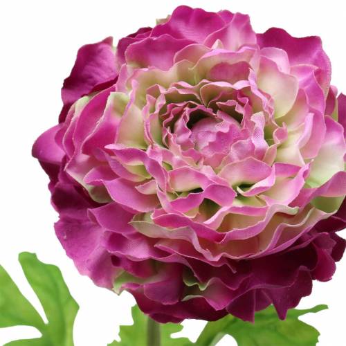 Floristik24 Renoncule violet artificiel 48cm