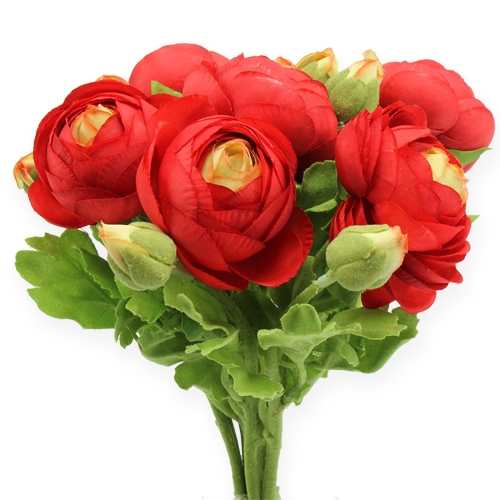 Floristik24 Bouquet de renoncules rouges 30 cm