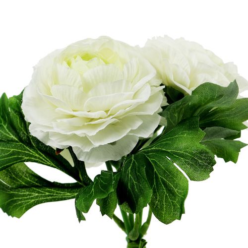 Article Bouquet de renoncules blanc L18cm