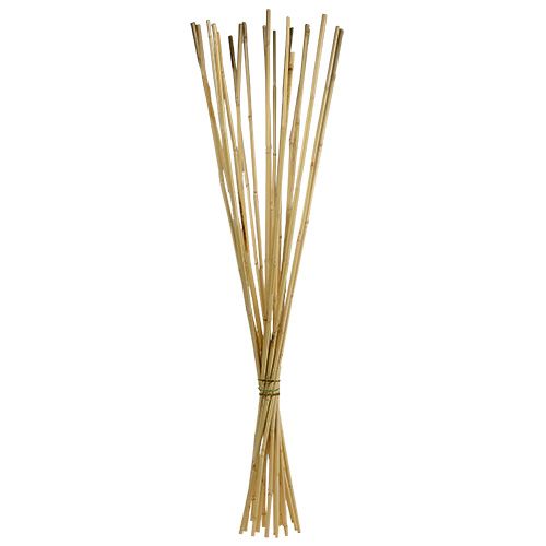 Floristik24 Tiges de rotin 100cm naturel 20 pcs