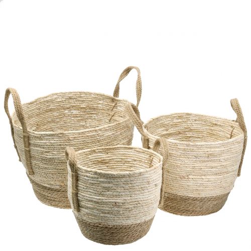 Floristik24 Panier en rotin nature/marron Ø40/32/26cm 3pcs