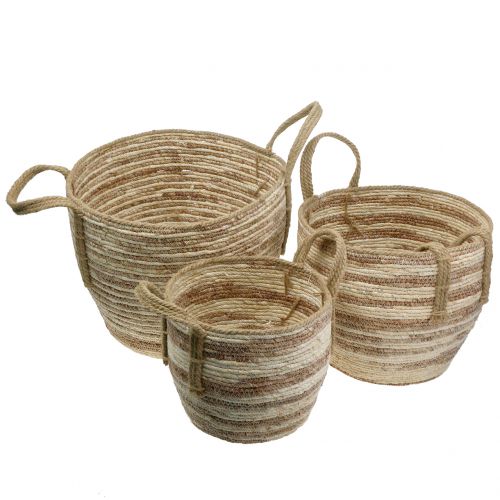 Floristik24 Panier en rotin naturel / marron Ø40 / 32 / 26cm 3pcs