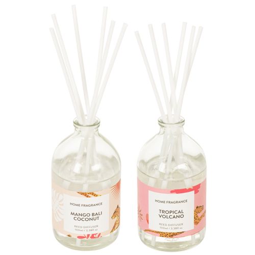 Diffuseur de parfum d'ambiance aux senteurs exotiques de noix de coco et de mangue pour une fraîcheur longue durée à la maison, 19 cm, lot de 2