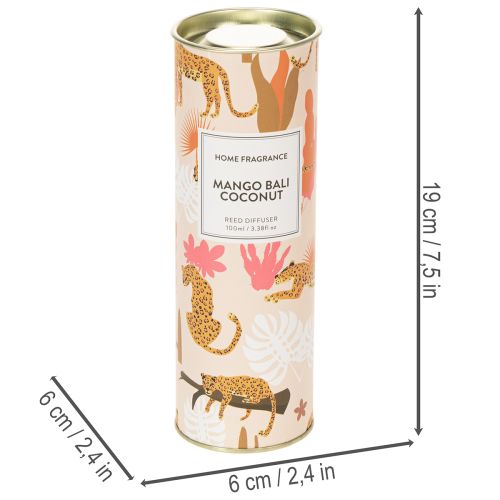 Article Diffuseur de parfum d'ambiance aux senteurs exotiques de noix de coco et de mangue pour une fraîcheur longue durée à la maison, 19 cm, lot de 2