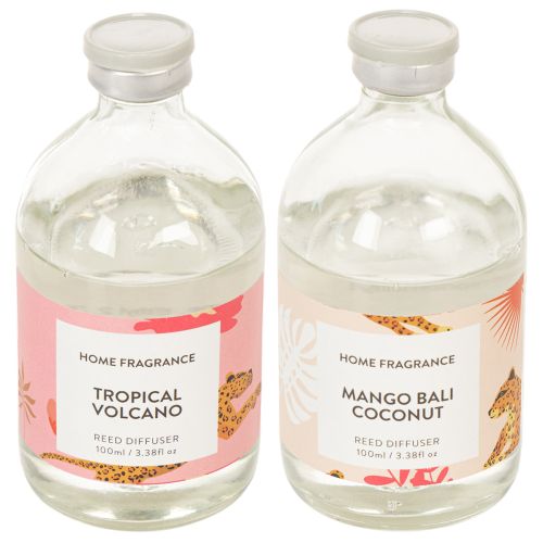 Article Diffuseur de parfum d'ambiance aux senteurs exotiques de noix de coco et de mangue pour une fraîcheur longue durée à la maison, 19 cm, lot de 2
