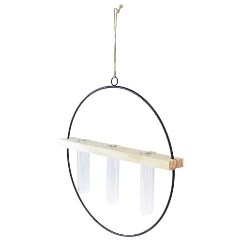 Floristik24 Vase décoratif tube à essai anneau décoratif métal noir 29×4×29cm