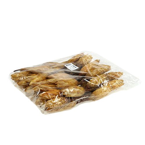 Article Repens crème petit 50 pcs