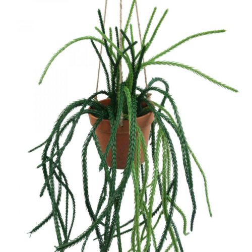 Panier suspendu cactus corail artificiel Rhipsalis H87cm