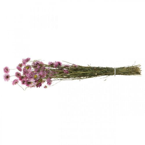 Article Bouquet de fleurs séchées d'Acroclinium rose, 20 g