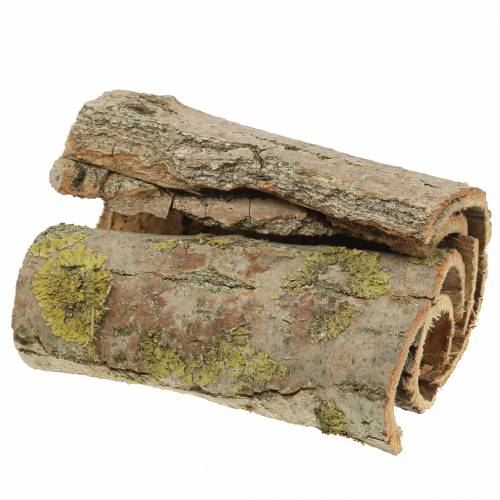 Floristik24 Écorce d'arbre pour artisanat nature 13cm 1kg