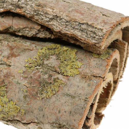 Floristik24 Écorce d'arbre pour artisanat nature 13cm 1kg