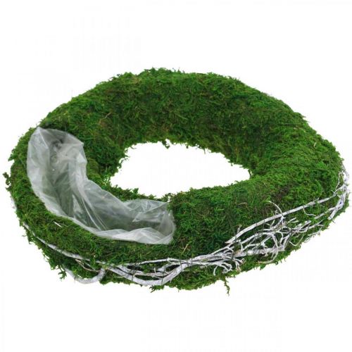 Floristik24 Bague plante couronne de mousse avec vignes et vert mousse, blanc Ø35cm