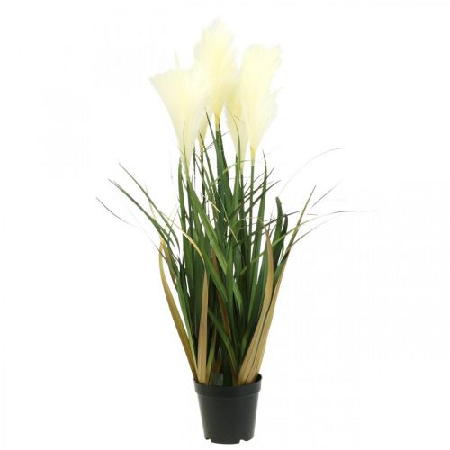 Roseau en pot Plante artificielle en pot Crème, Vert 79cm