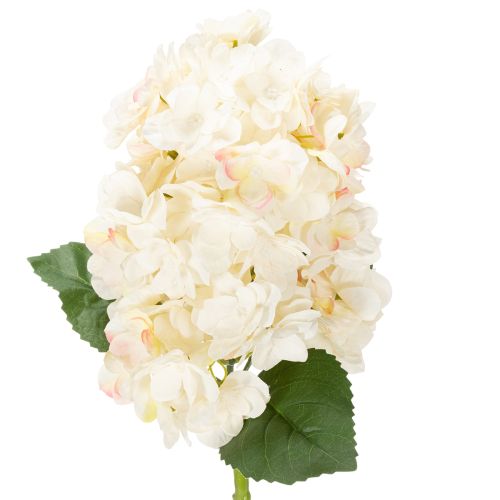 Floristik24 Fleur d'hortensia artificielle de haute qualité, idéale pour la décoration intérieure, 62 cm