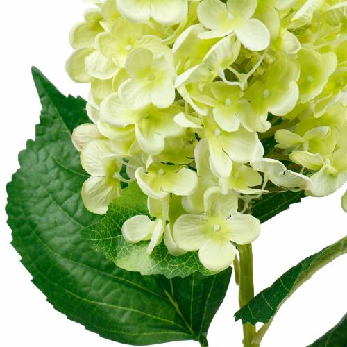 Floristik24 Hortensia panicule artificiel, vert hortensia, fleur de soie de haute qualité 98cm