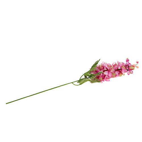 Floristik24 Pied d’alouette fuchsia 71 cm 6 p.