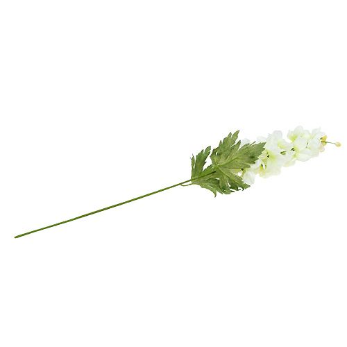 Floristik24 Pieds d’alouette blanc L. 60 cm