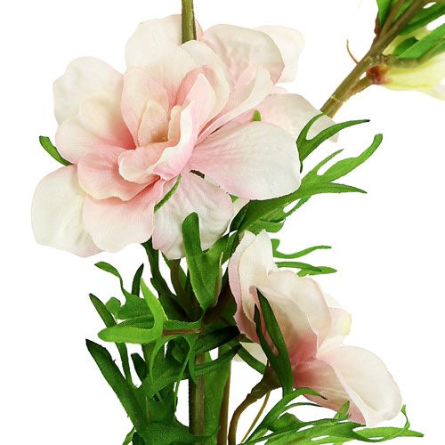 Floristik24 Pied d’alouette rose clair L. 95 cm