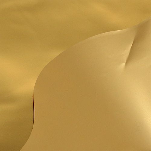 Floristik24 Collerette pour fleurs Couleur or brillant mat Ø50cm 50pc