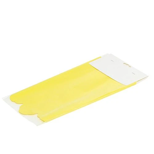 Manchettes Rondella Ø38cm jaune 50pcs | Floristik24.fr