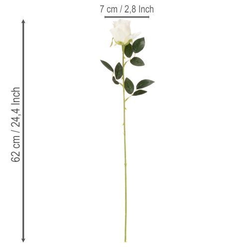 Roses artificielles blanches, longues tiges, 62 cm, 12 pièces | Floristik24.fr