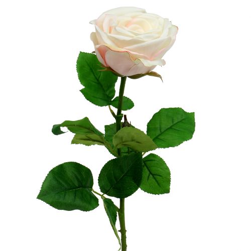 Floristik24 Rose artificielle crème 69 cm