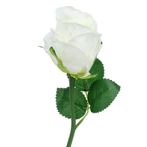 Floristik24 Rose blanche Ø6cm L30cm 6pcs