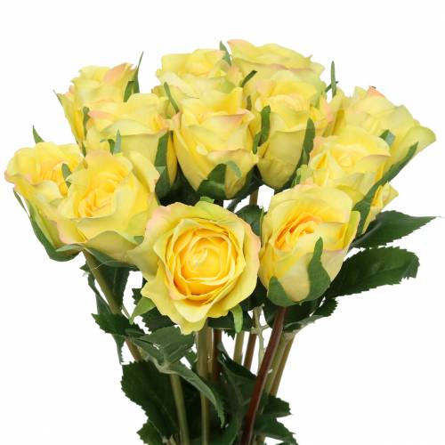 Floristik24 Rose jaune 42cm 12pcs