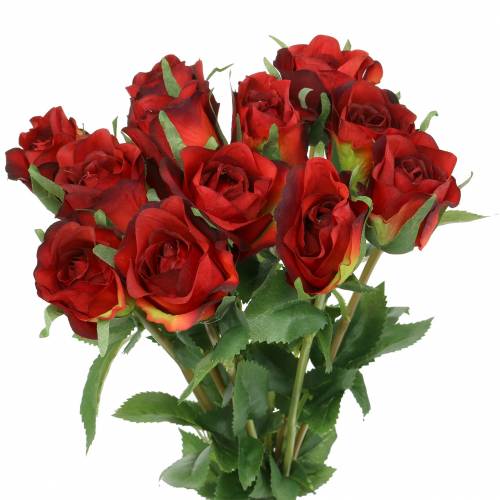 Rose rouge 42cm 12pcs