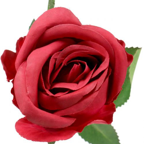 Rose Rouge 44cm 6pcs