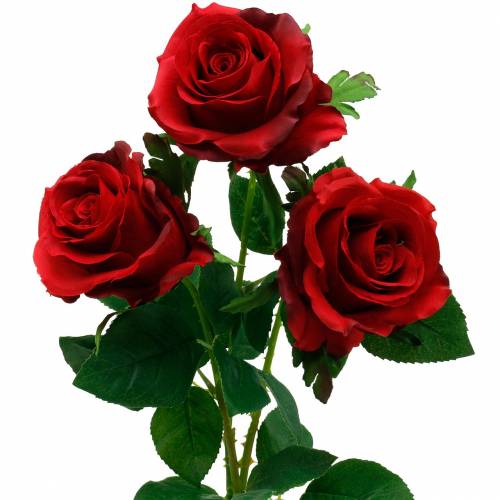 Floristik24 Roses artificielles roses rouges fleurs en soie 3pcs