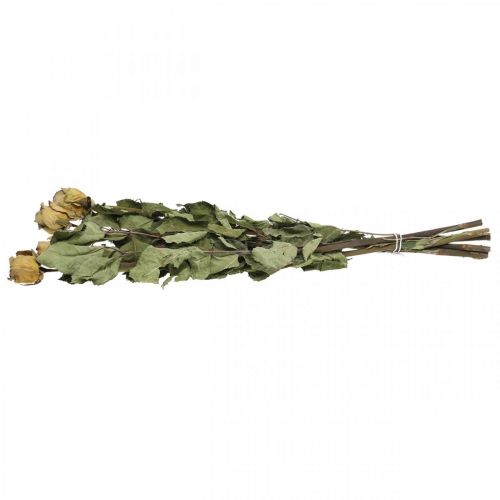 Floristik24 Rose fleur séchée, Saint Valentin, fleuristerie sèche, roses décoratives rustiques jaune-violet L45-50cm 5 pièces