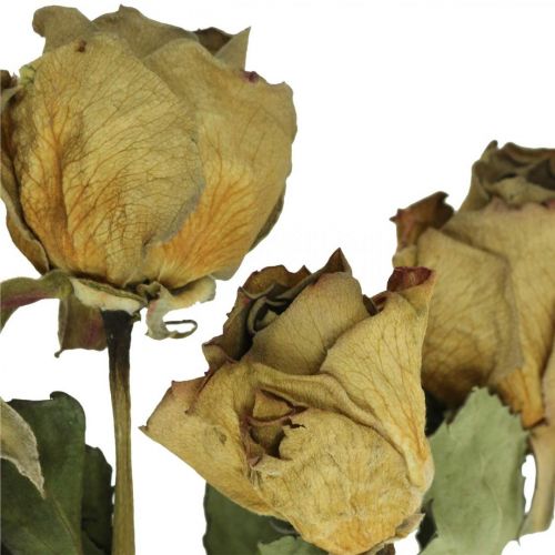 Floristik24 Rose fleur séchée, Saint Valentin, fleuristerie sèche, roses décoratives rustiques jaune-violet L45-50cm 5 pièces