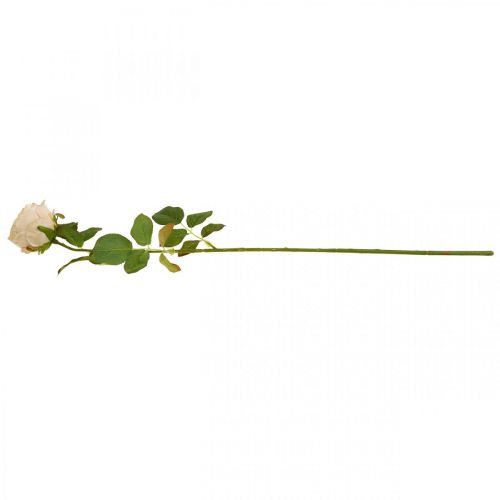 Article Rose couleur crème, fleur en soie, rose artificielle L74cm Ø7cm