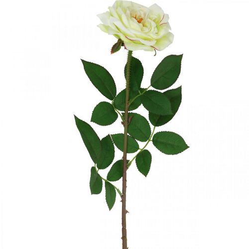 Rose artificielle, rose décorative, fleur de soie blanc crème, vert L72cm Ø12cm
