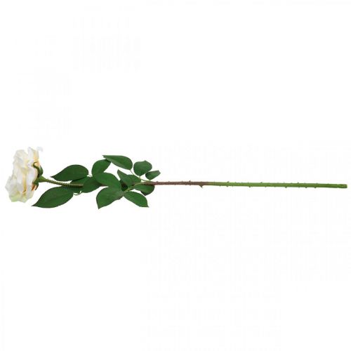 Article Rose abricot blanc crémeux, fleur de soie, roses artificielles L72cm Ø12cm