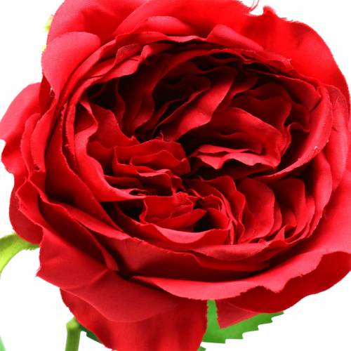 Floristik24 Fleur artificielle rose rouge 72cm
