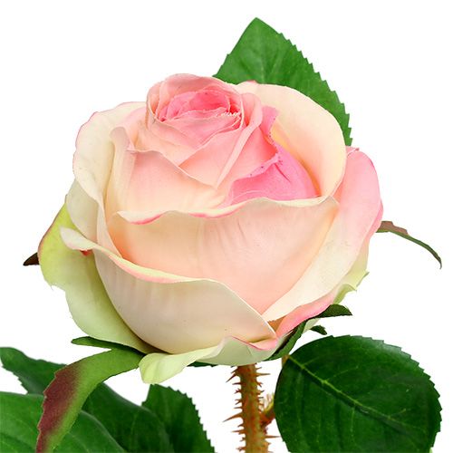 Floristik24 Rose artificielle rose crème Ø9cm L45cm 1 pièce