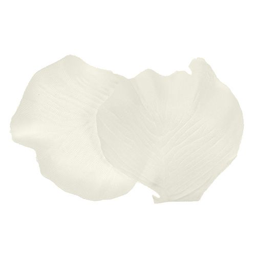 Floristik24 Pétales de roses 5 cm 48 p. crème/jaune