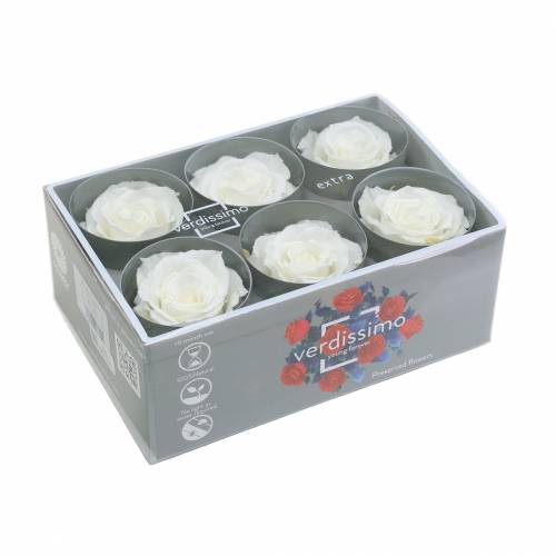 Article Infinity Roses Grand Ø5,5-6cm Blanc 6 pcs