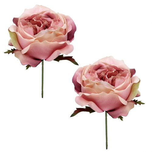 Floristik24 Crème de tête rose, rose 17cm 4pcs