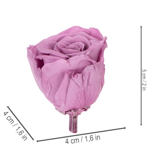 Article Roses stabilisées, cadeau romantique, roses longue durée pour les occasions spéciales, 5 cm, lot de 6