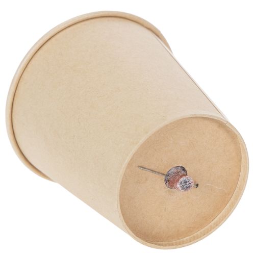 Article Roses stabilisées, cadeau romantique, roses longue durée pour les occasions spéciales, 5 cm, lot de 6